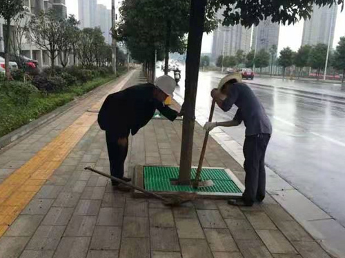 樹(shù)篦子廠家